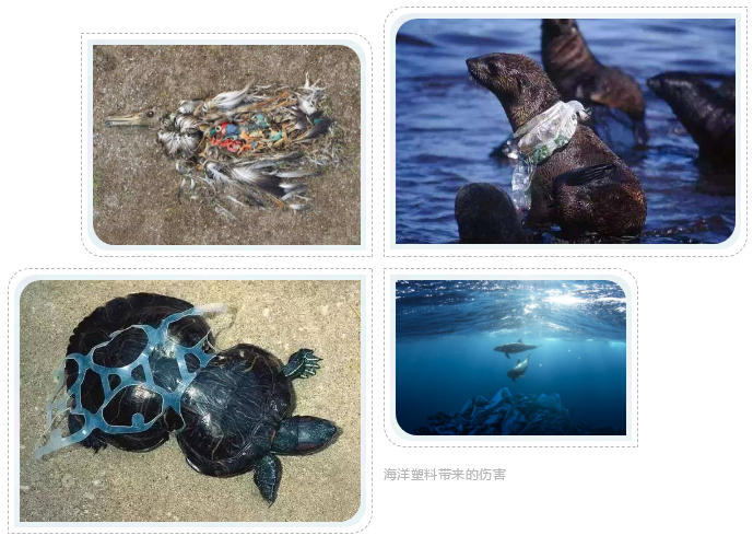 /ueditor/jsp/upload/image/20200326/1585183410622071931.png /ueditor/jsp/upload/image/20200326/1585183410622071931.png