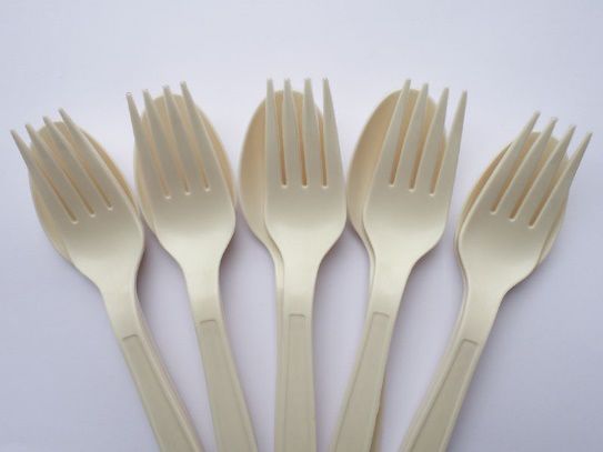 /ueditor/jsp/upload/image/20200326/1585183527899047894.jpg /ueditor/jsp/upload/image/20200326/1585183527899047894.jpg